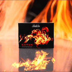 Satan - Four Crowned Princes EyeShadow Palette - Satanme